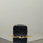 Replica Celine Triomphe Box On Chain