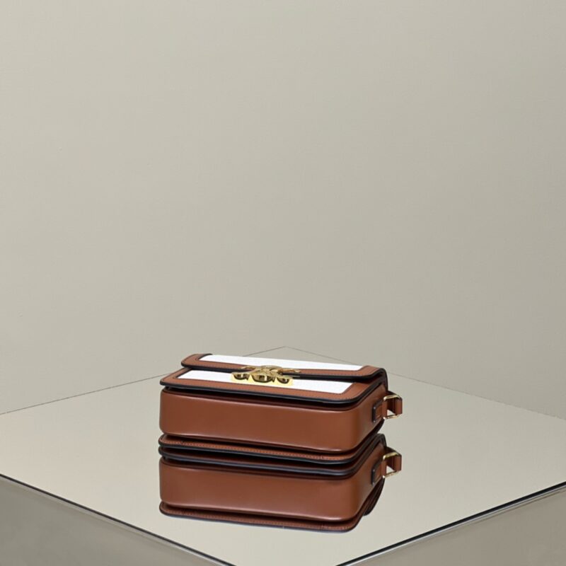 a4 (1) Celine Triomphe Mini White