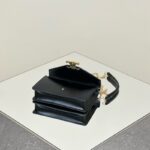 Replica Celine Chain Woc - premium superclone handbag
