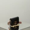 Replica Celine Triomphe Multipochette - premium superclone handbag