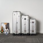 Rimowa & Dior Suitcase Silver - high-quality designer bag dupe