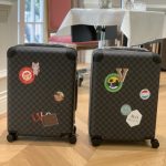 Louis Vuitton Suitcase Custom Colors - high-end replica designer purse