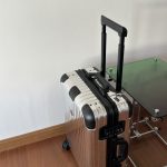 Rimowa & Moncler Suitcase - affordable luxury replica bag