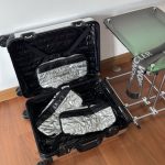 Rimowa & Moncler Suitcase - high-end replica designer purse