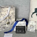 Replica Dior Card Holder All Colors