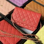 Chanel Woc Chain Wallet - premium superclone handbag