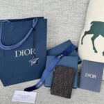 Replika pouzdra na karty Dior se zipem v černé barvě - elitní replika kabelky z továrny