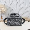Fake Dior Saddle Zip Backpack - elite factory replica handbag