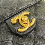 galeria-de-mochilas-camélia-chanel-1