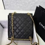 galeria-de-mochilas-camélia-chanel-9