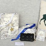dior-caro-myrte-zipped-gallery-5