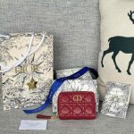 dior-caro-wallet-gallery-2
