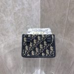 dior-cd-chain-wallet-gallery-6