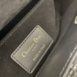 dior-lady-d-joy-large-bag-wool-gallery-2