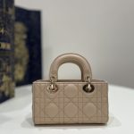 dior-lady-d-joy-mini-bag-caramel-gallery-6