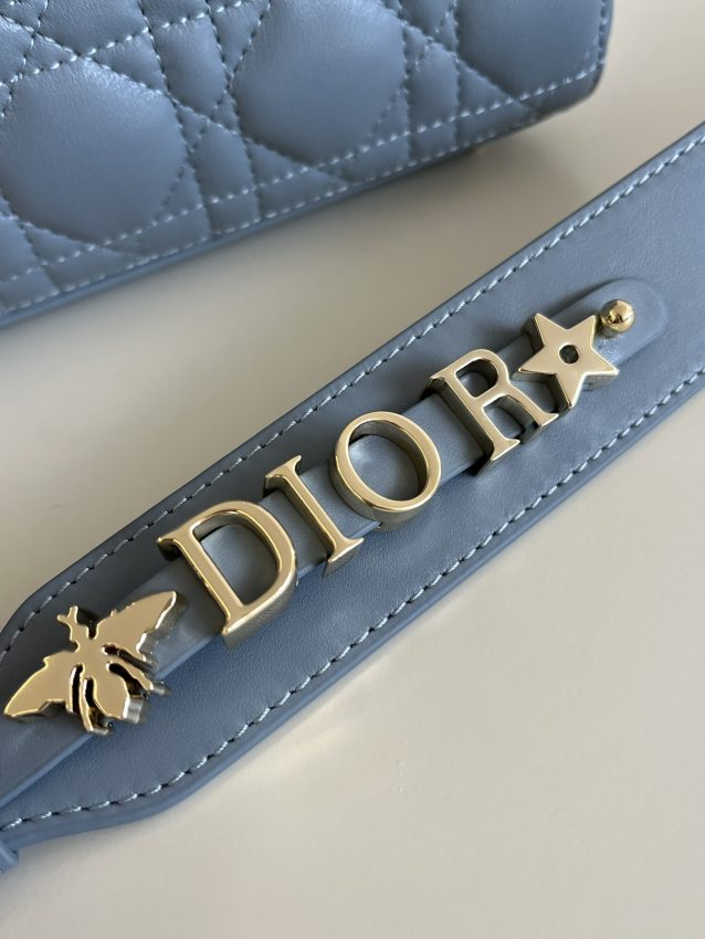 dior-lady-dior-blue-abc-gallery-2