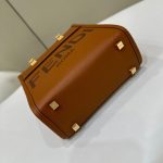 fendi-mini-tote-brown-gallery-3