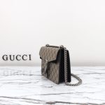 gucci-dionysus-supreme-black-gallery-10