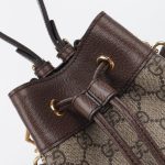 gucci-ophidia-bucket-bag-gallery-8