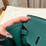 hermes-birkin-peacock-green-togo-gallery-4