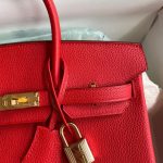 hermes-birkin-red-togo-gold-gallery-2