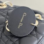lady-dior-black-abc-gallery-4