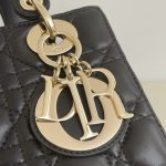 lady-dior-black-abc-gallery-5
