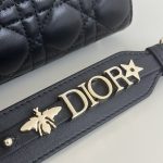 lady-dior-black-abc-gallery-8