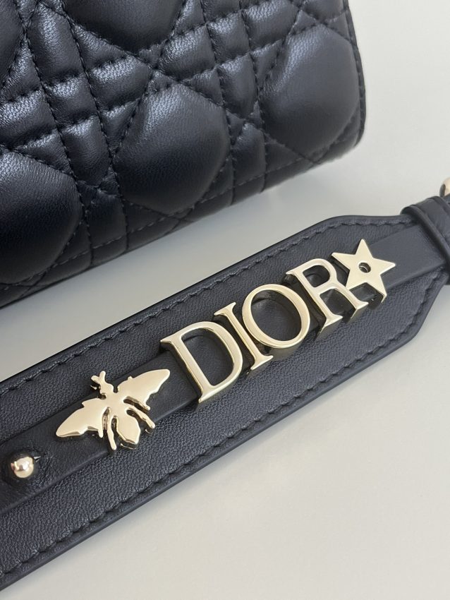 lady-dior-black-abc-gallery-8