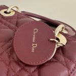 lady-dior-bordeaux-abc-gallery-1