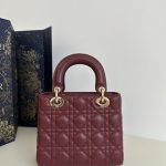 lady-dior-bordeaux-abc-gallery-5