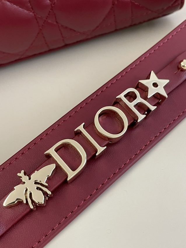 lady-dior-bordeaux-abc-gallery-6