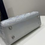 lady-dior-silver-abc-gallery-1