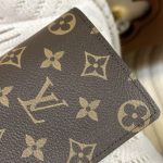 louis-vuitton-brazza-wallet-brown-gallery-8