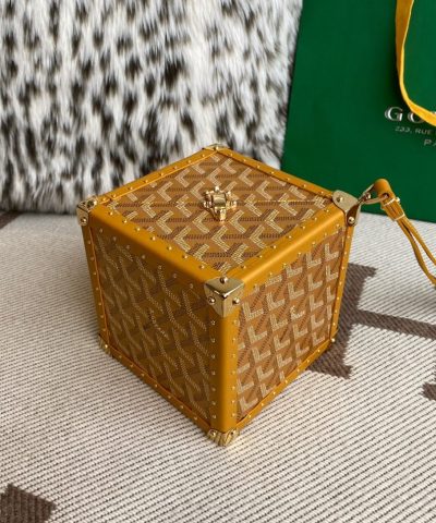 Goyard DE Trunk