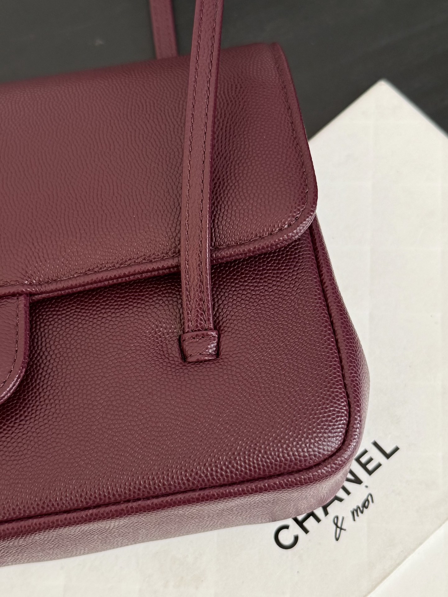 71923_barolo_2 Chanel Preppy Coco 26 Bag Barolo - chanel preppy coco 26 barolo dupe detail 1