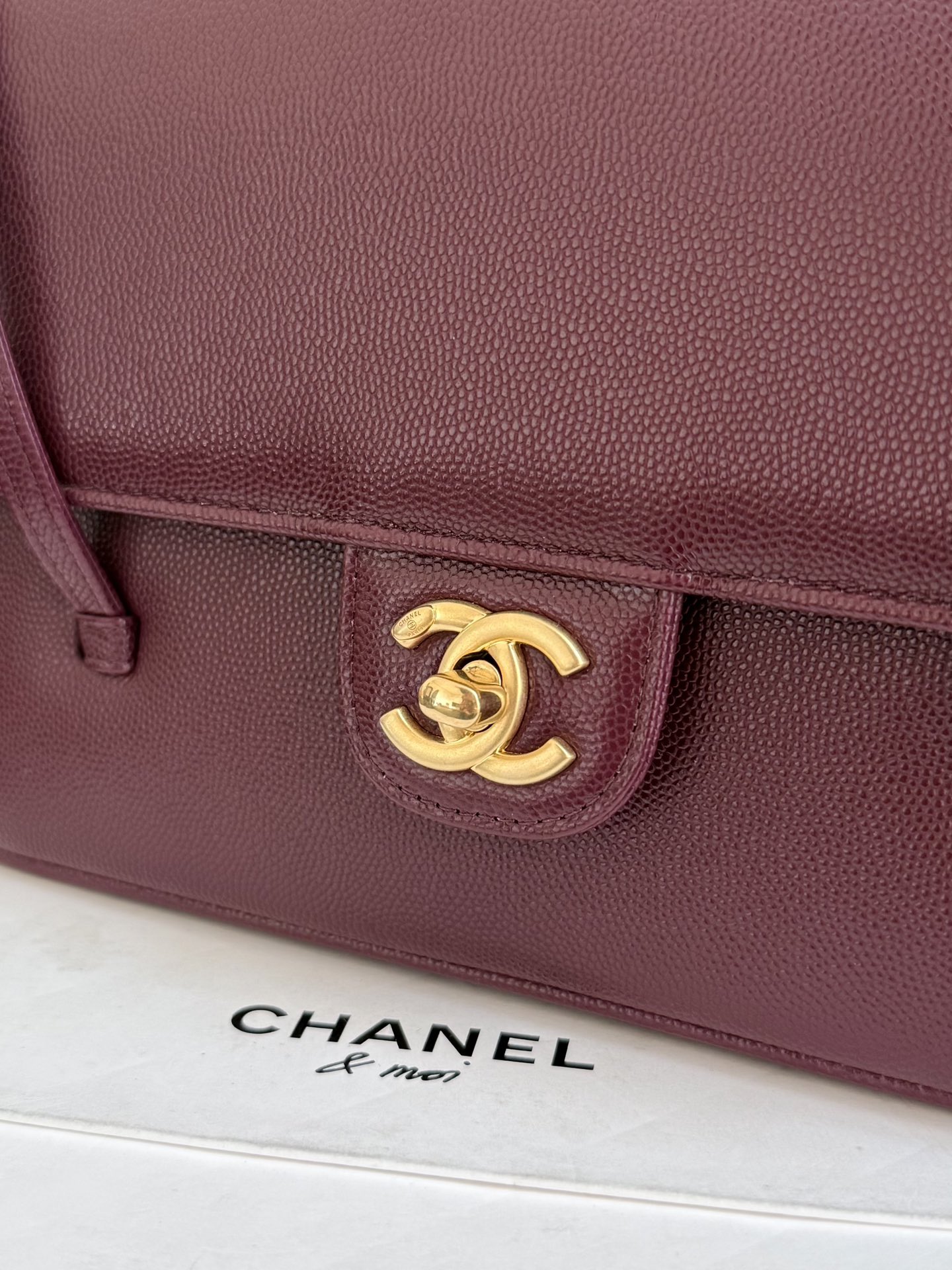 71923_barolo_3 Chanel Preppy Coco 26 Bag Barolo - chanel preppy coco 26 barolo dupe detail 2