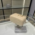 Chanel Long Vanity Top Handle Sandstone - chanel vanity top handle replica detail 2