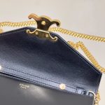 Celine Chain Woc Gallery 7 Celine Chain Woc Gallery 7 - Replica Celine Bag