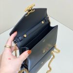 Celine Chain Woc Gallery 8 Celine Chain Woc Gallery 8 - Replica Celine Bag