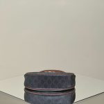 Celine Triomphe Ava Gallery 3 Celine Triomphe Ava Gallery 3 - Replica Celine Bag