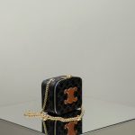Celine Triomphe Box On Chain Gallery 1 Celine Triomphe Box On Chain Gallery 1 - Replica Celine Bag