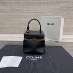 Celine Triomphe Frame Bag - front view