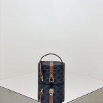 Celine Triomphe Moonlight Box - Replica Celine Bag