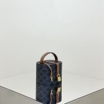 Celine Triomphe Moonlight Box Gallery 1 Celine Triomphe Moonlight Box Gallery 1 - Replica Celine Bag