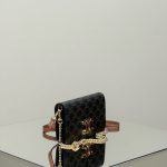 Celine Triomphe Multipochette Gallery 9 Celine Triomphe Multipochette Gallery 9 - Replica Celine Bag