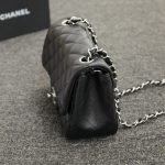 Chanel Classic Flap 17cm Silver 9 CHANEL Classic Flap 17cm Silver - chanel replica bag detail 8