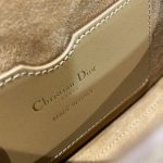 dior bobby east west brown 2