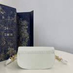 dior bobby east west white 3
