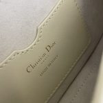 dior bobby east west white 7